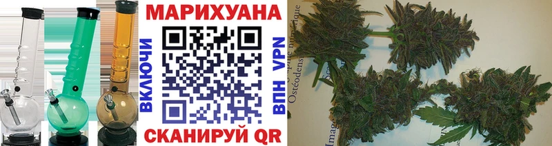 цена наркотик  Кировск  hydra ссылки  Бошки марихуана марихуана 